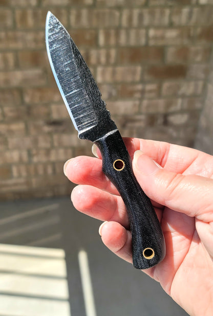 SPEK - Choose Your Colors