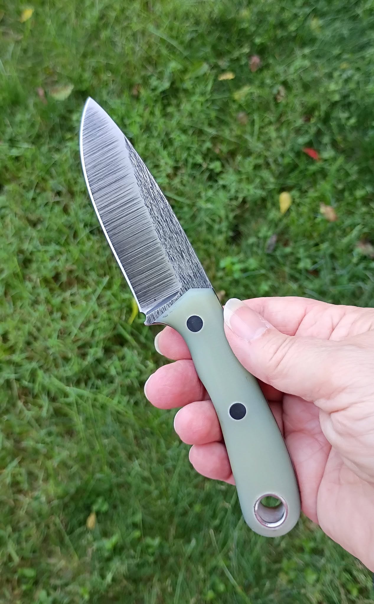 DC Drop Point - In Stock (Natural G10)