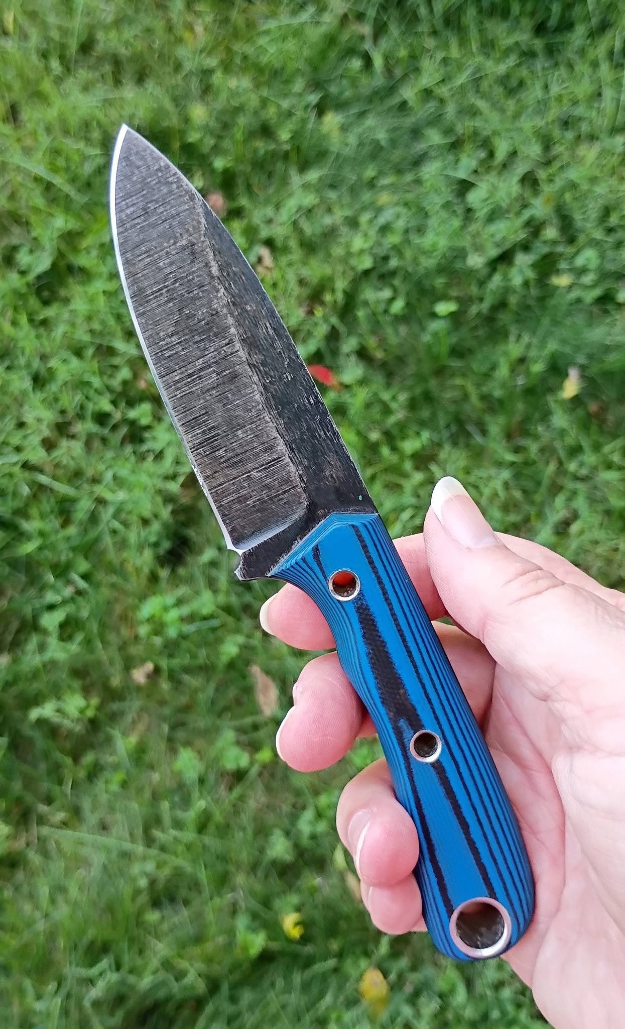 DC Drop Point - In Stock (Blue/Black G10)