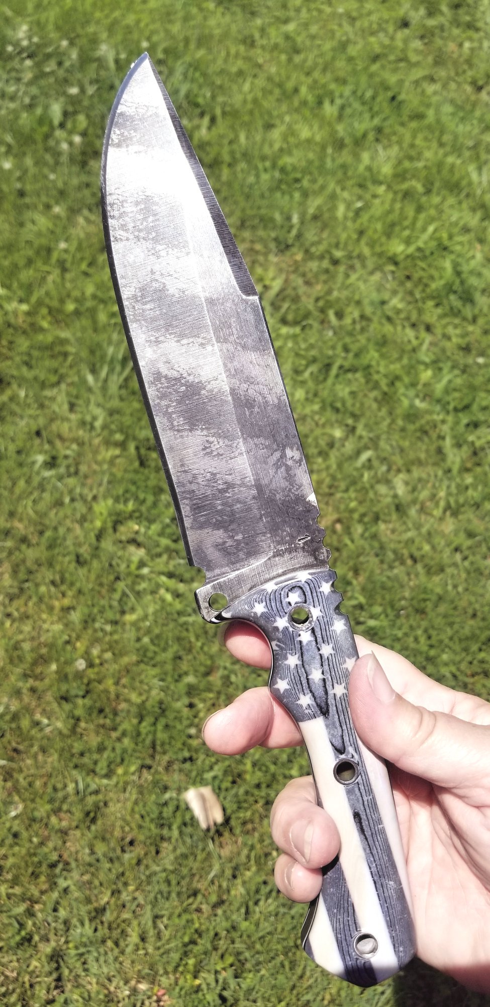 Independence Day Renegade