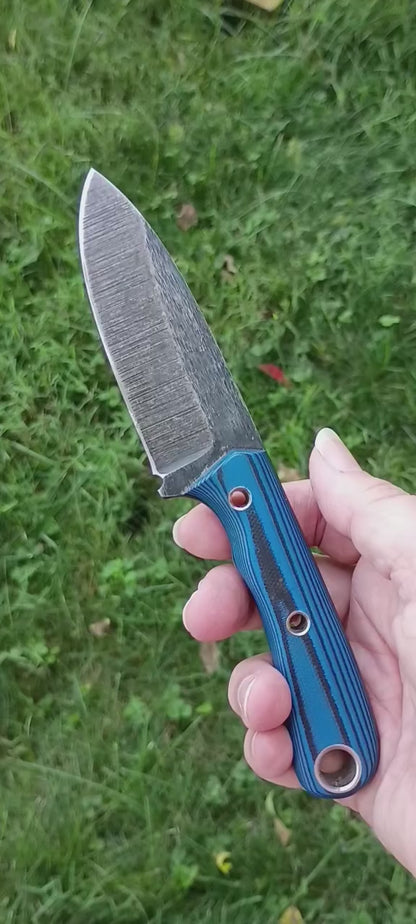 DC Drop Point - In Stock (Blue/Black G10)