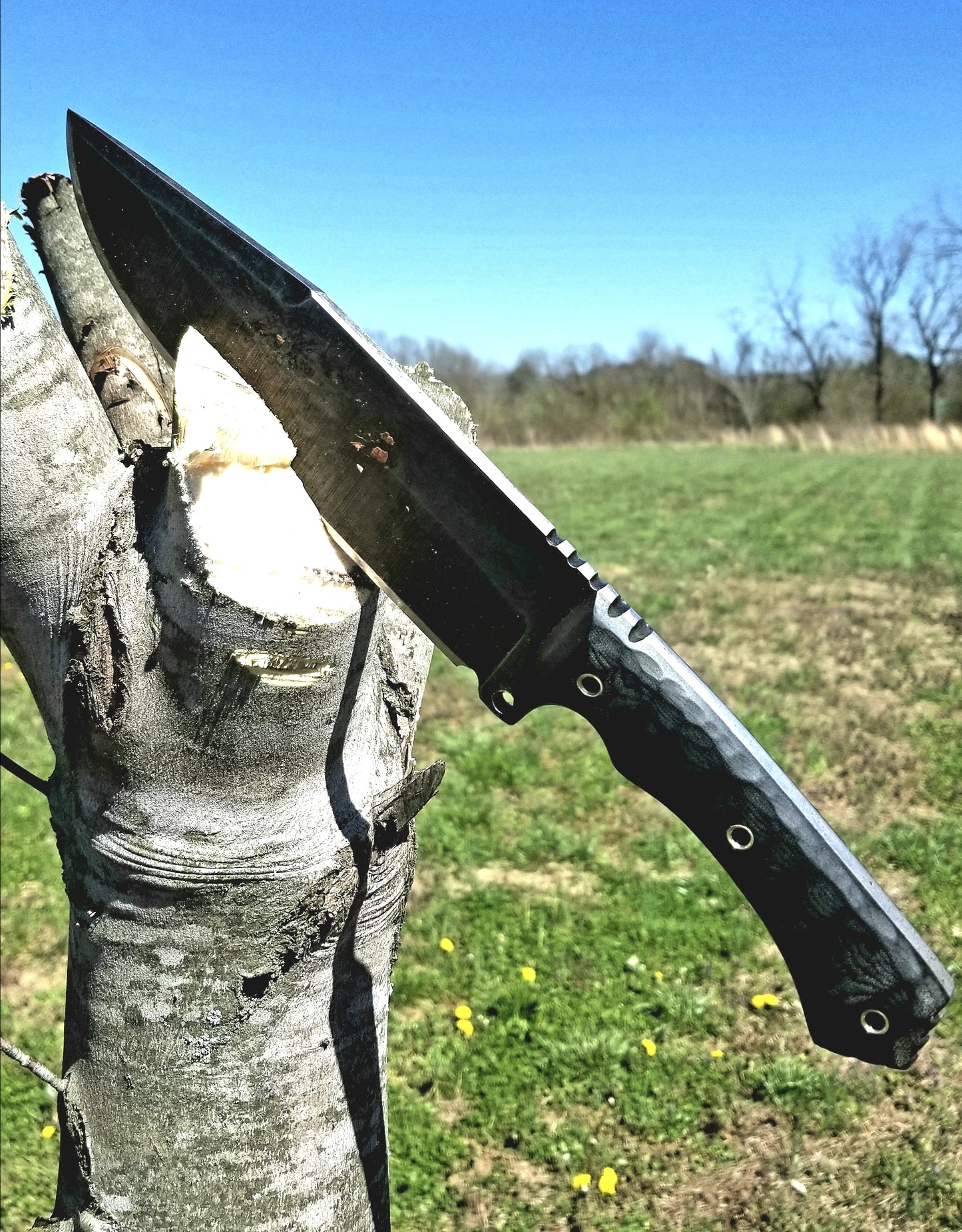 RENEGADE - Choose Handle Color